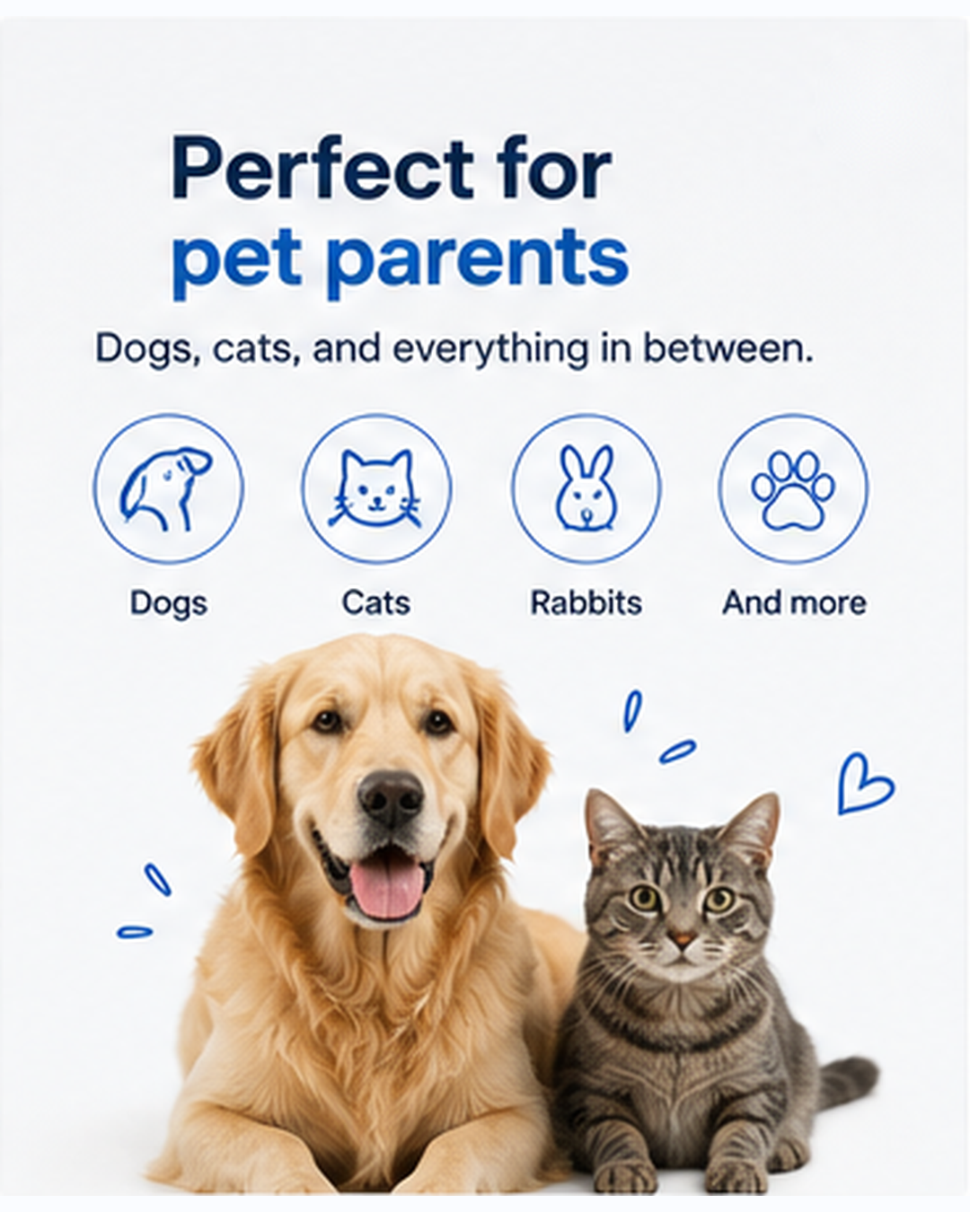 Dog and cat representing pet households